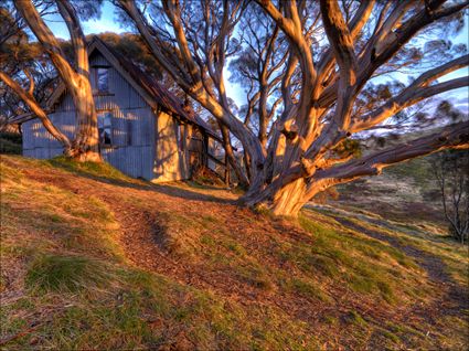 Cope Hut - VIC SQ (PBH3 00 34387)